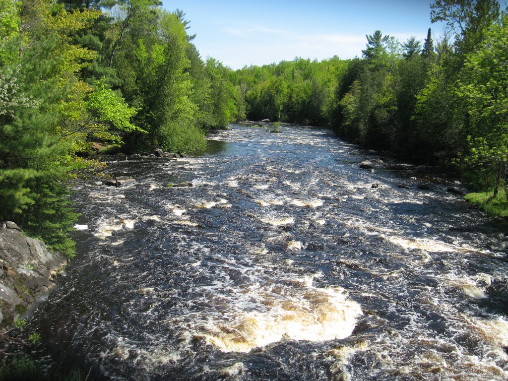 Wolf River, North Fork Eau Claire River Watershed (LC17)