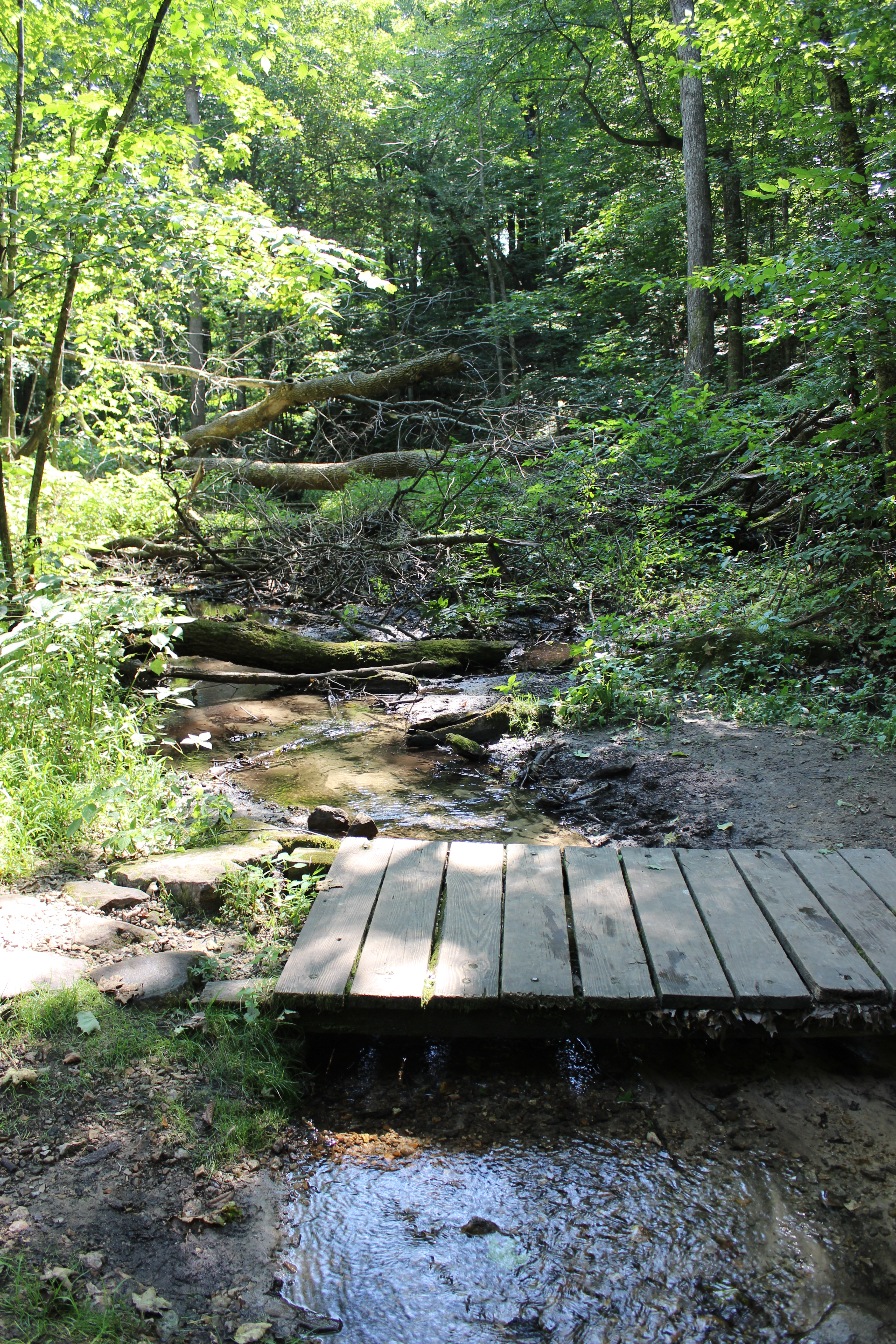 Unnamed Stream, Mill and Blue Mounds Creek Watershed (LW15)