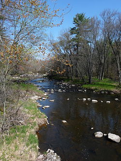 Puff Creek, Upper Yellow (Wood Co.) River Watershed (CW05)