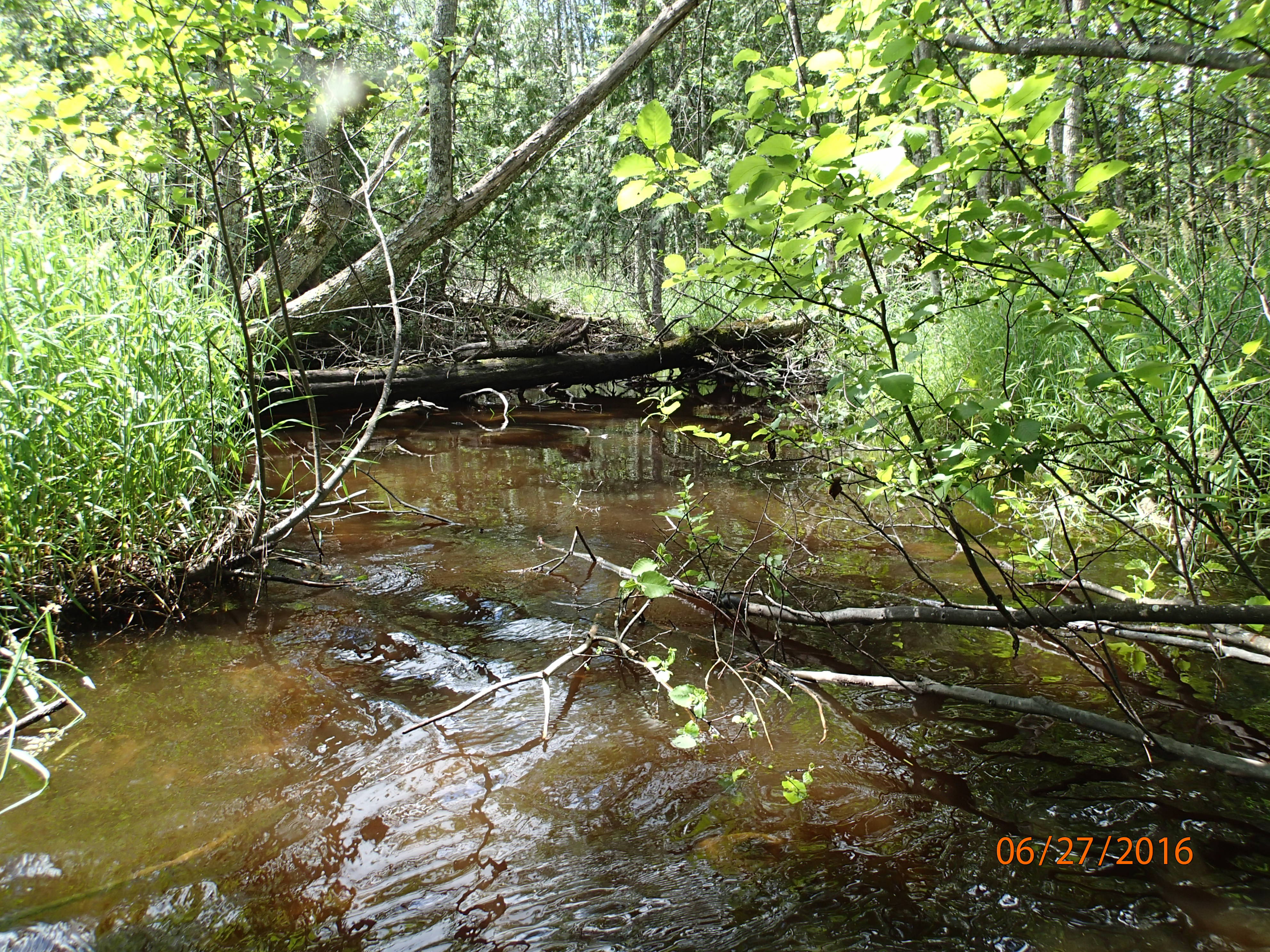 Lilly Bay Creek, Upper Door County Watershed (TK06)