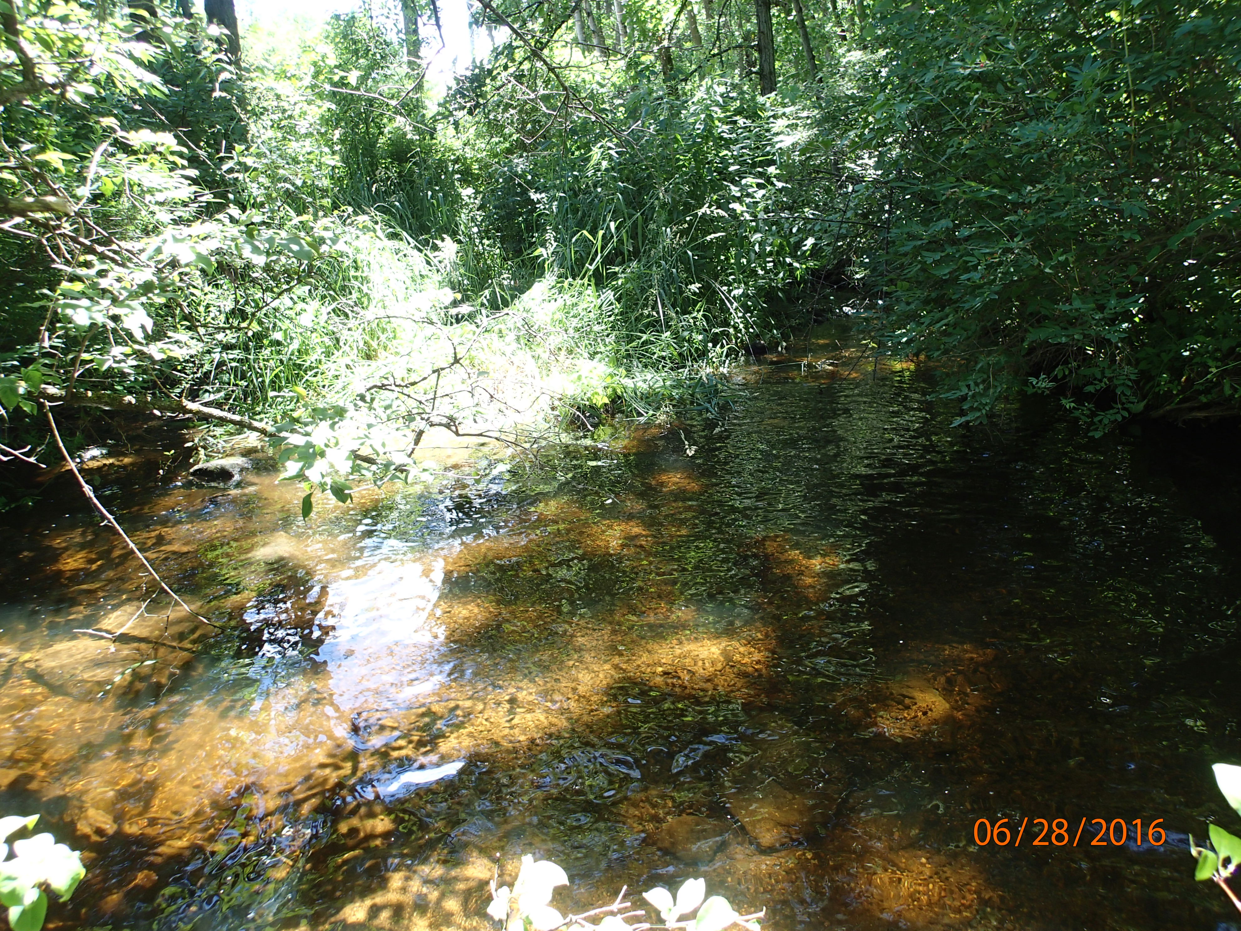 Pine Creek, South Branch Manitowoc River Watershed (MA05)