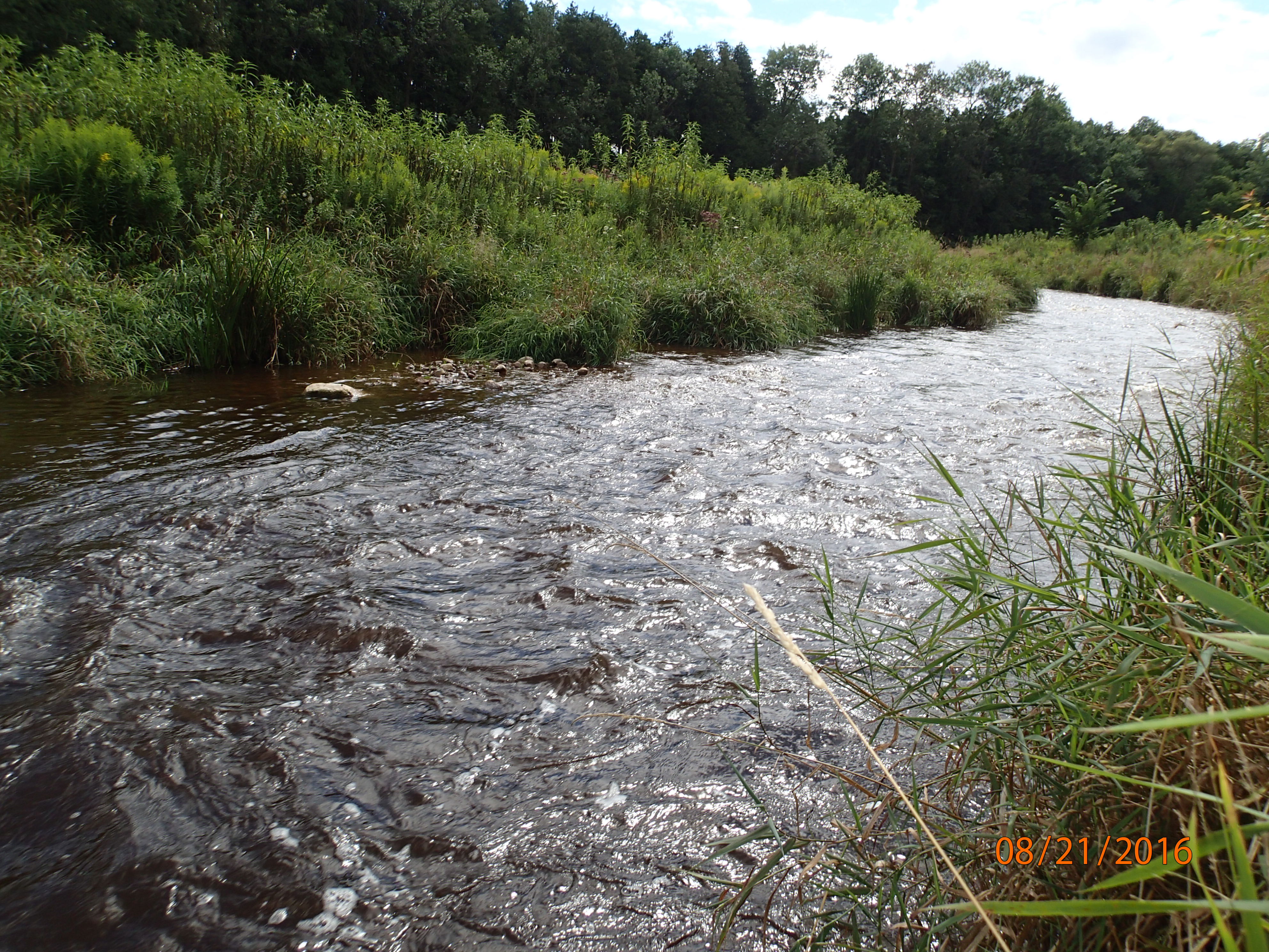 Silver Creek(Havel Creek), Ahnapee River Watershed (TK04)