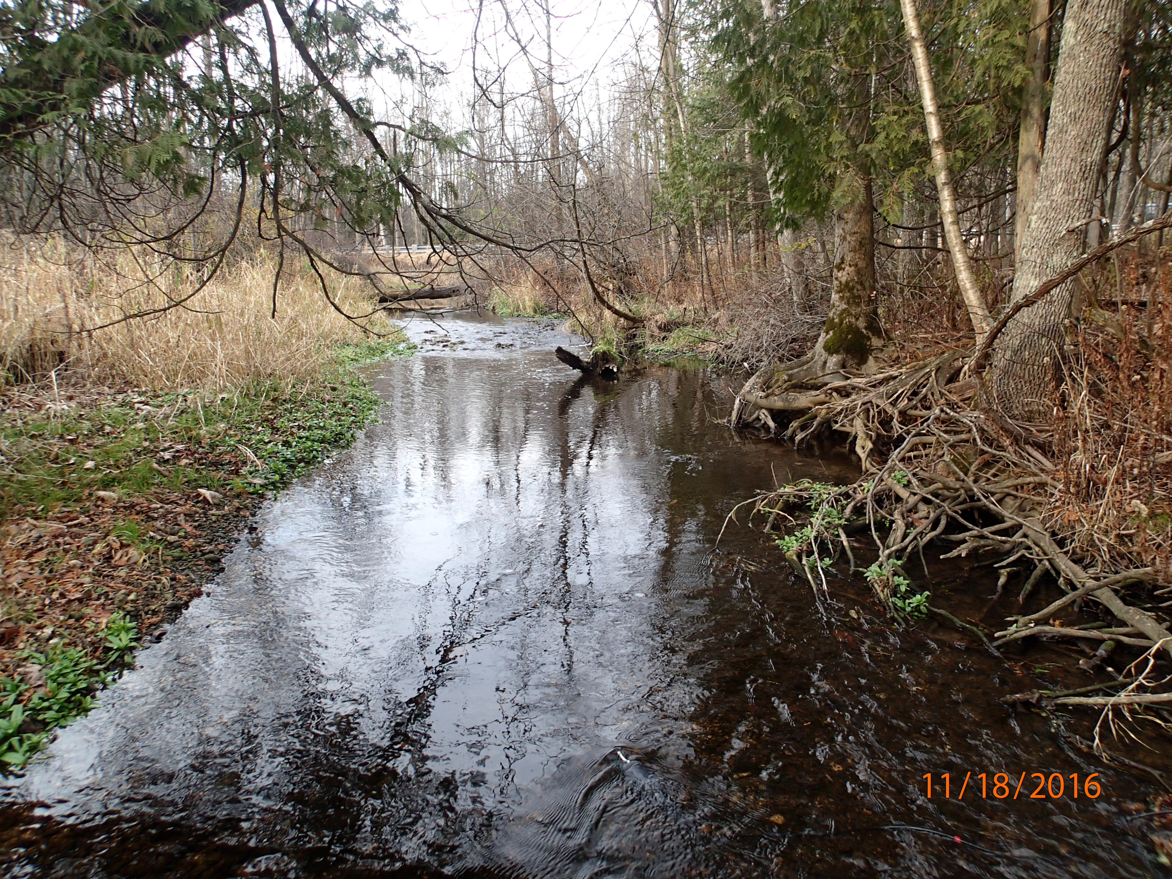 East Twin River, East Twin River Watershed (TK02)