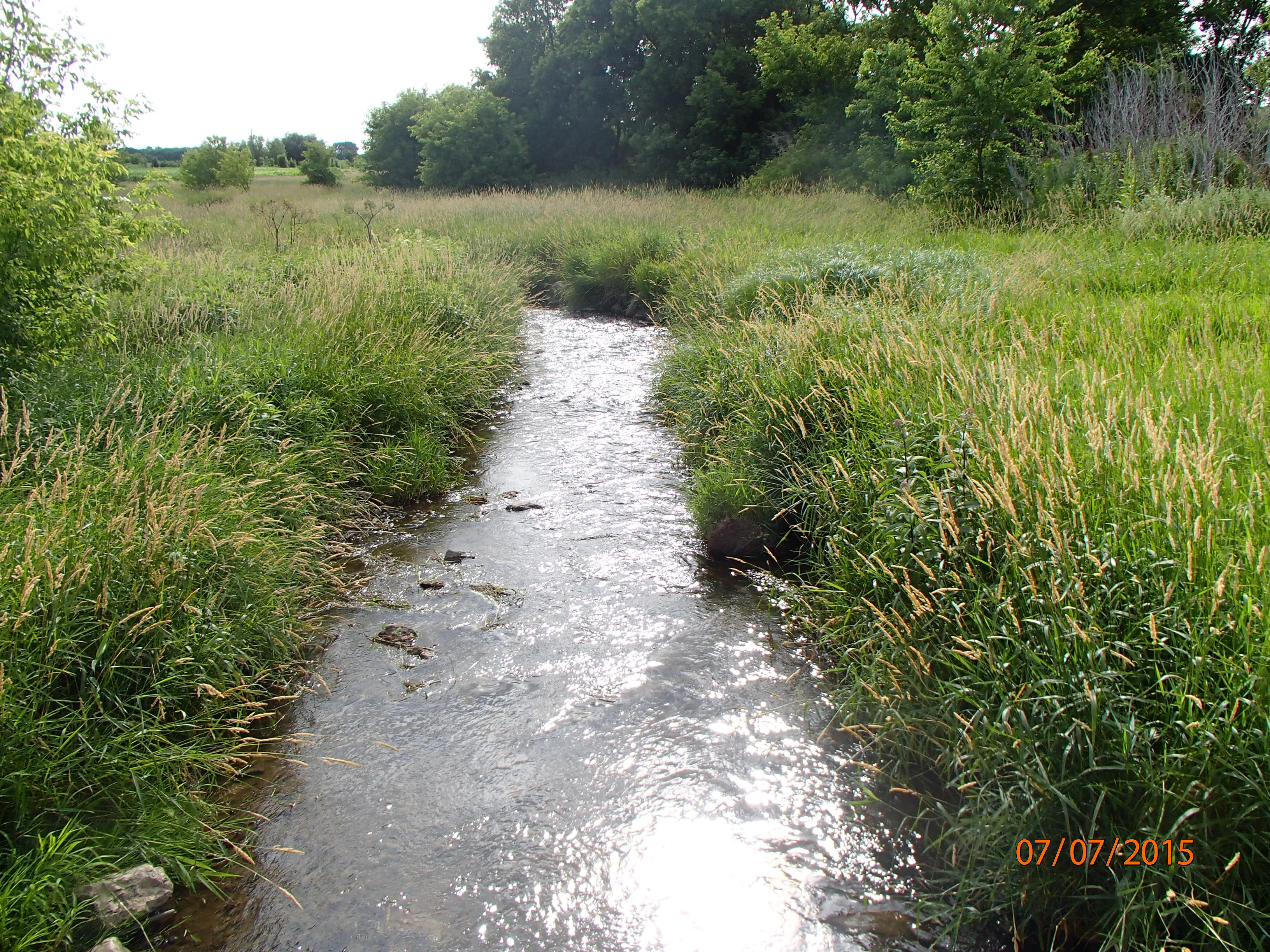 Byron Creek, Fond du Lac River Watershed (UF03)