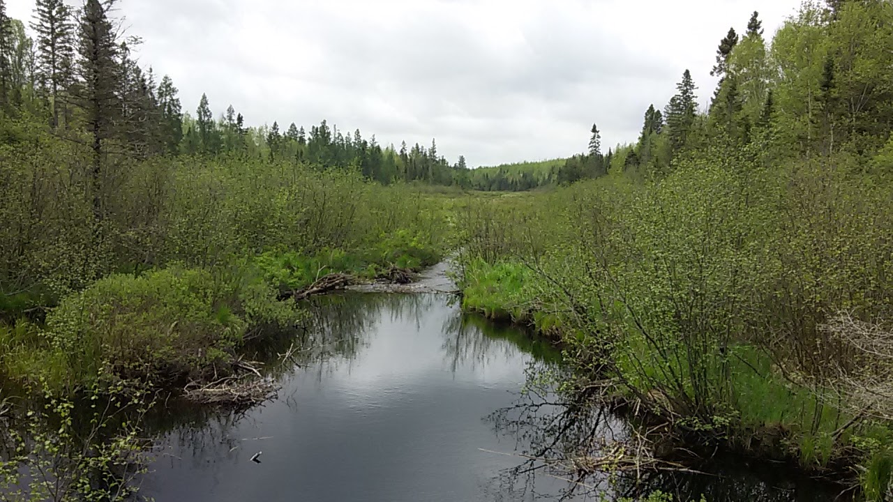 Muskellunge Creek, East Fork Chippewa River Watershed (UC21)