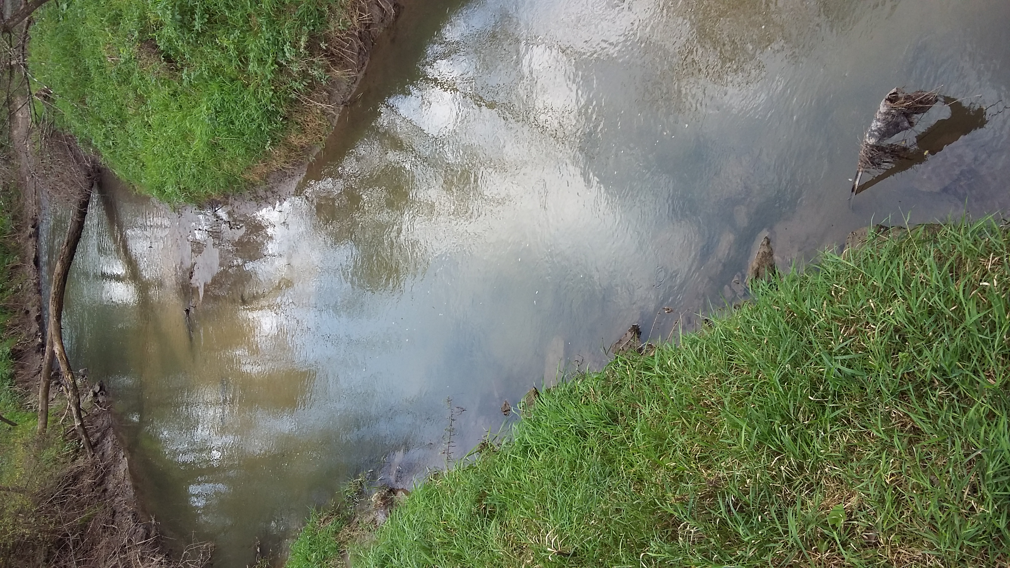 Millville Creek, Millville Creek Watershed (LW01)