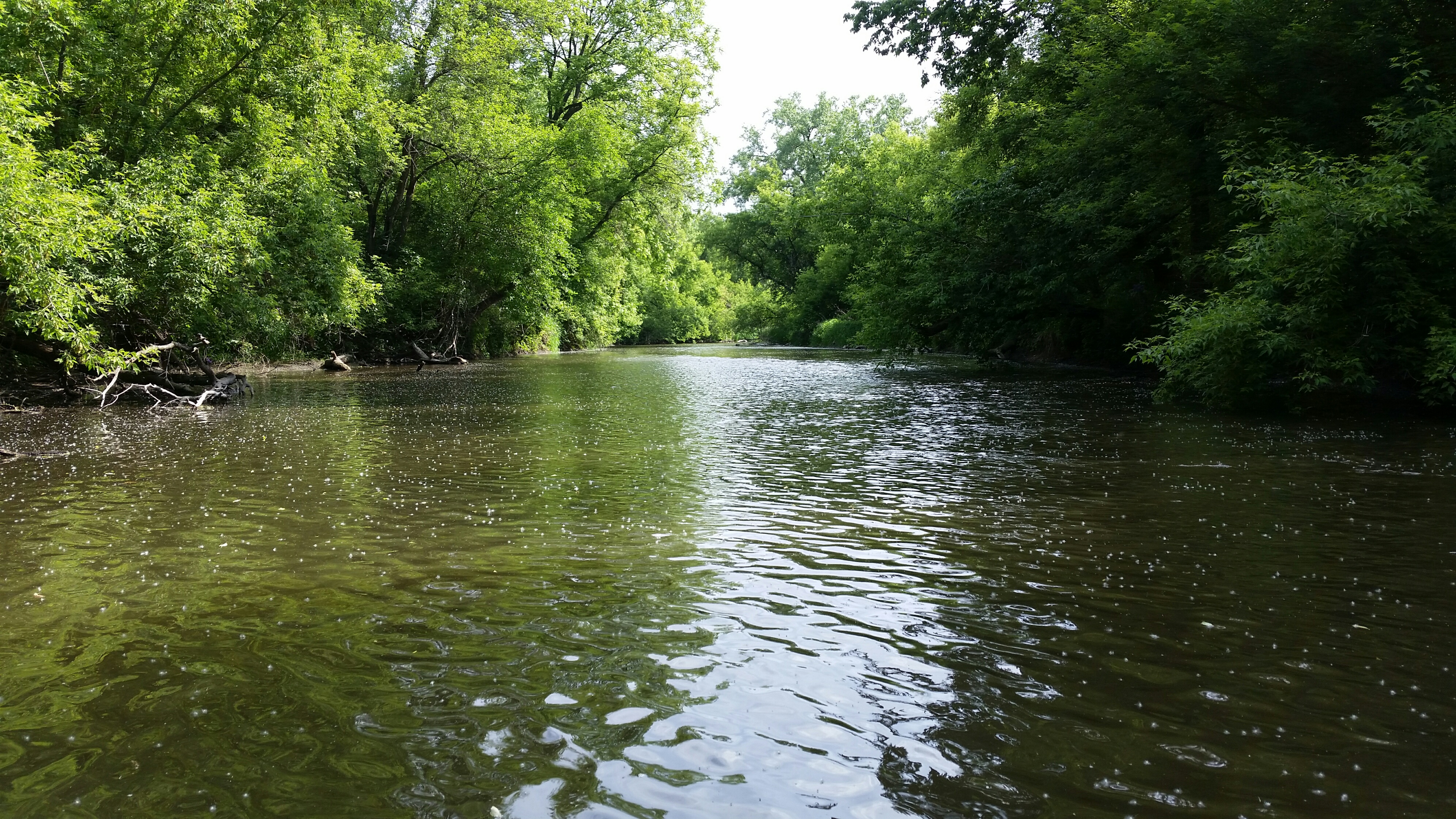 Turtle Creek, Turtle Creek Watershed (LR01)