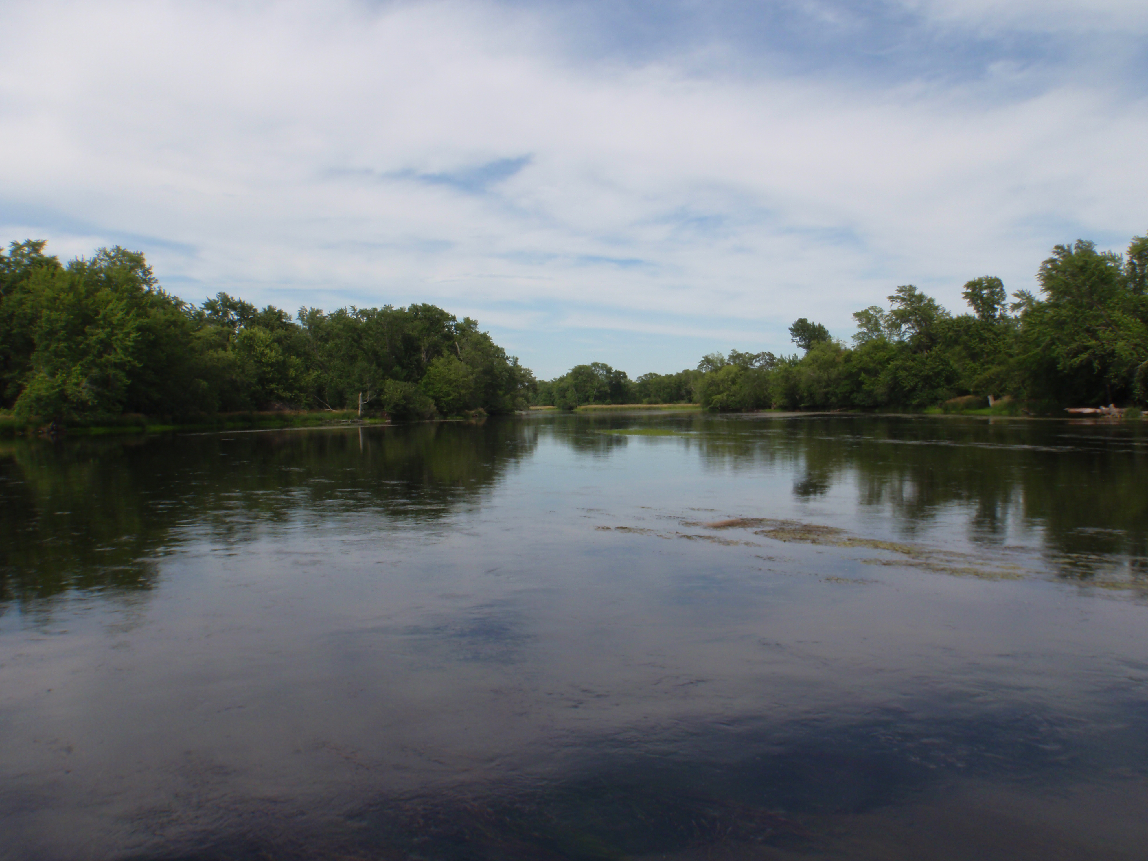 Red Cedar River, Wilson Creek Watershed (LC04)