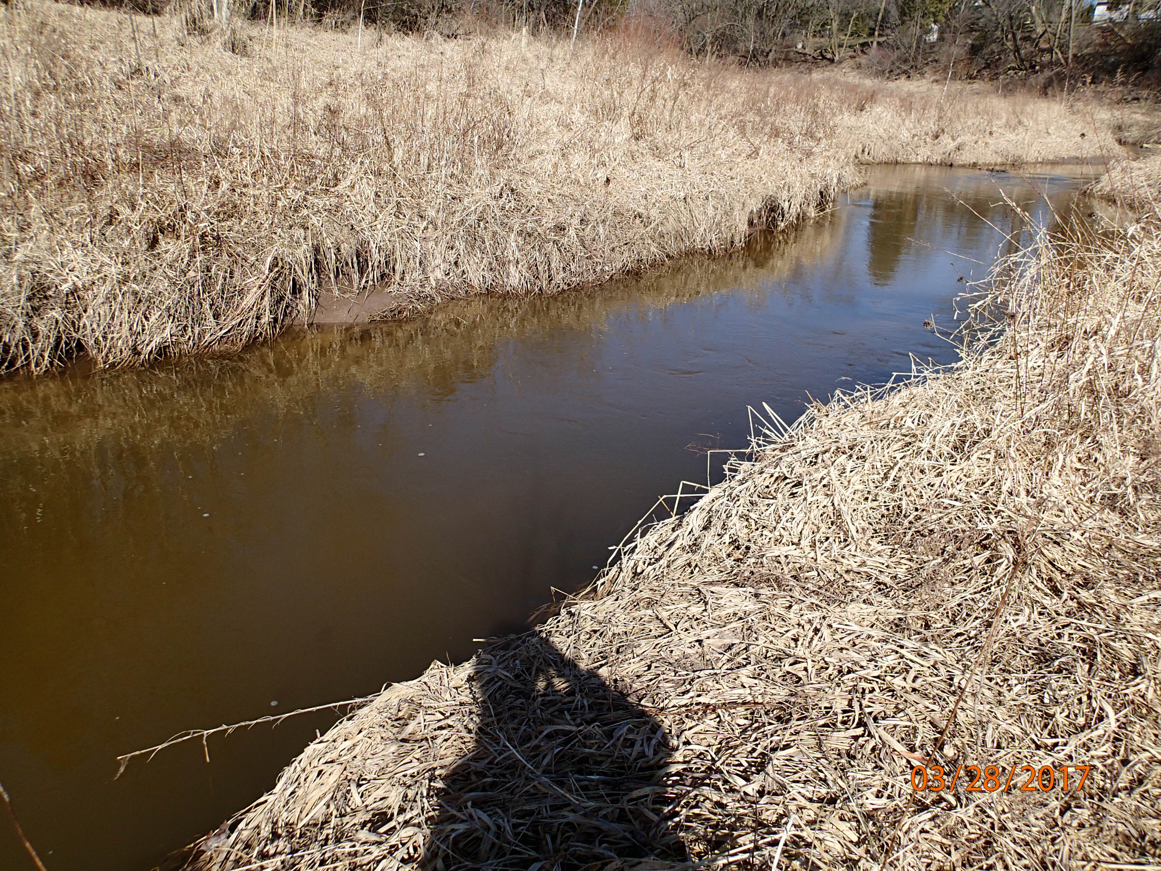 Centerville Creek, Sevenmile and Silver Creeks Watershed (MA01)