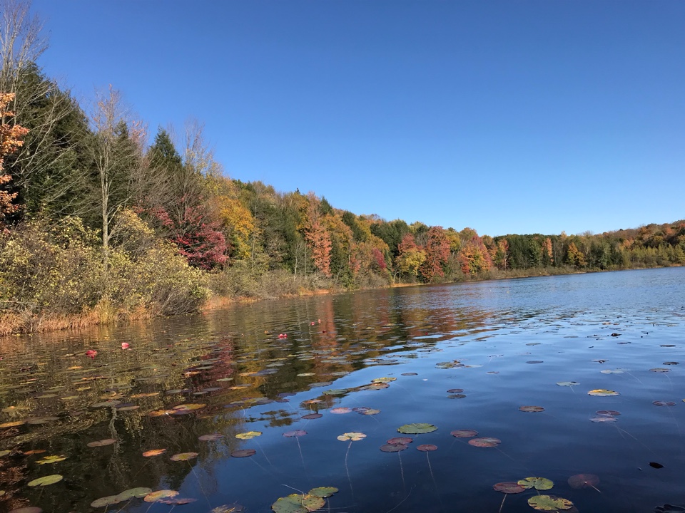 Dark Lake, Wolf River - Langlade and Evergreen Rive Watershed (WR18)