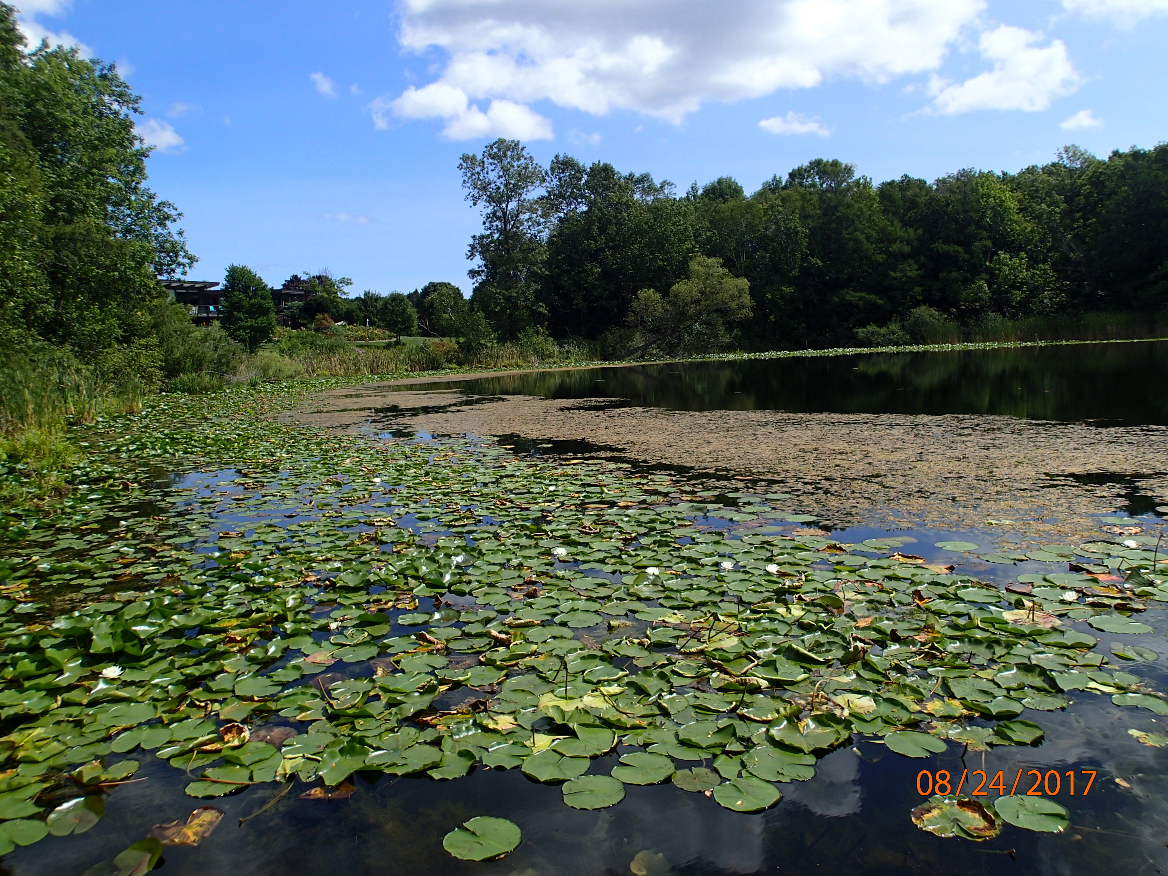 Kasbaum Lake, Sevenmile and Silver Creeks Watershed (MA01)