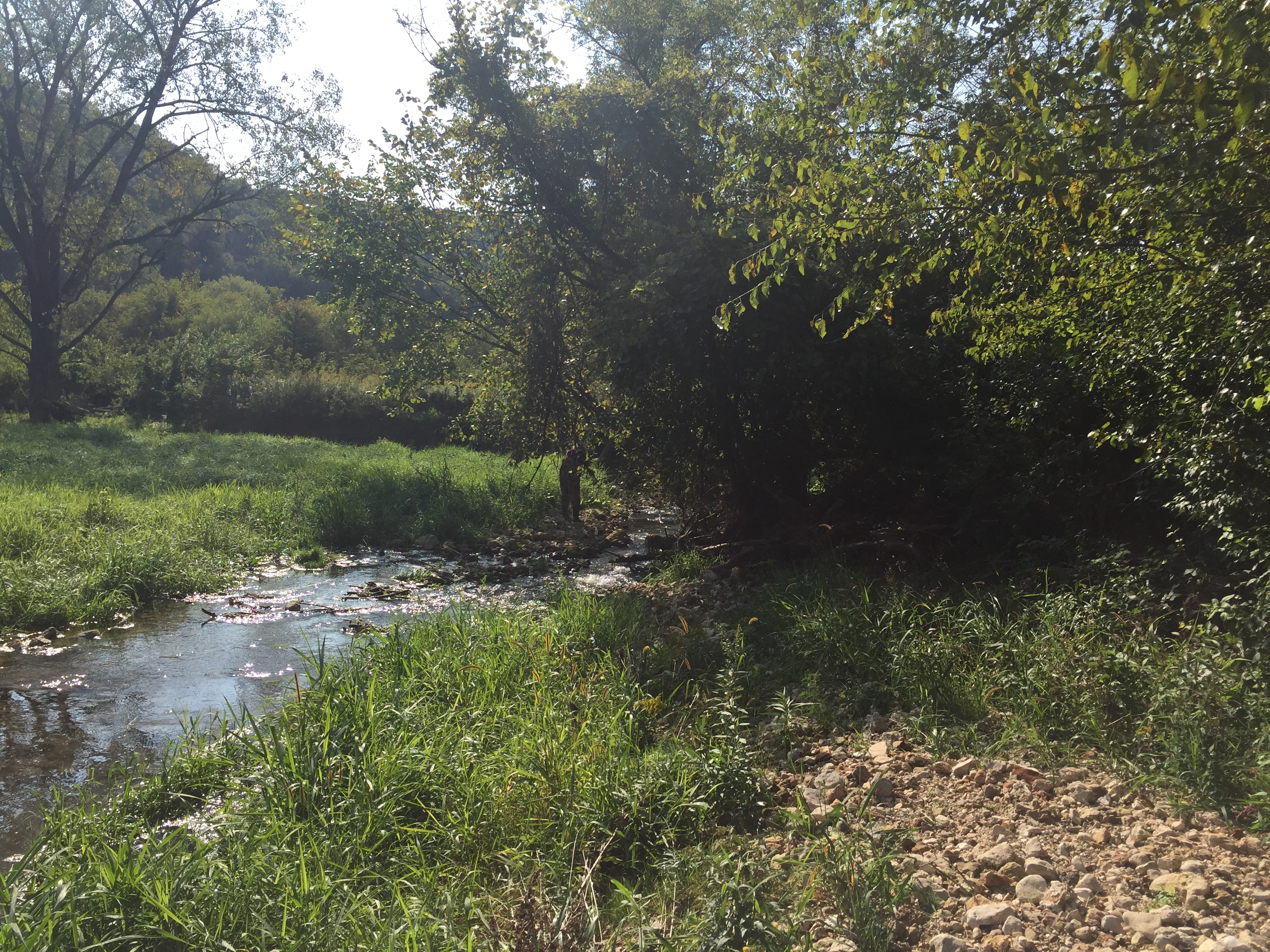 Boydtown Creek  , Knapp Creek Watershed (LW08)
