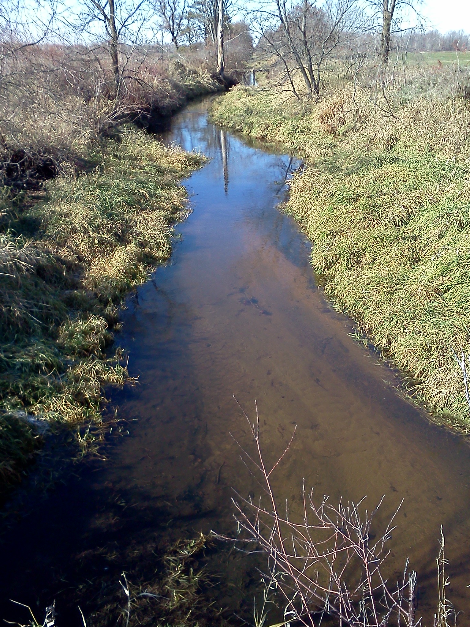 Ditch #6 (Grant S & Pine Grove Tnshp), Sevenmile and Tenmile Creeks Watershed (CW09)