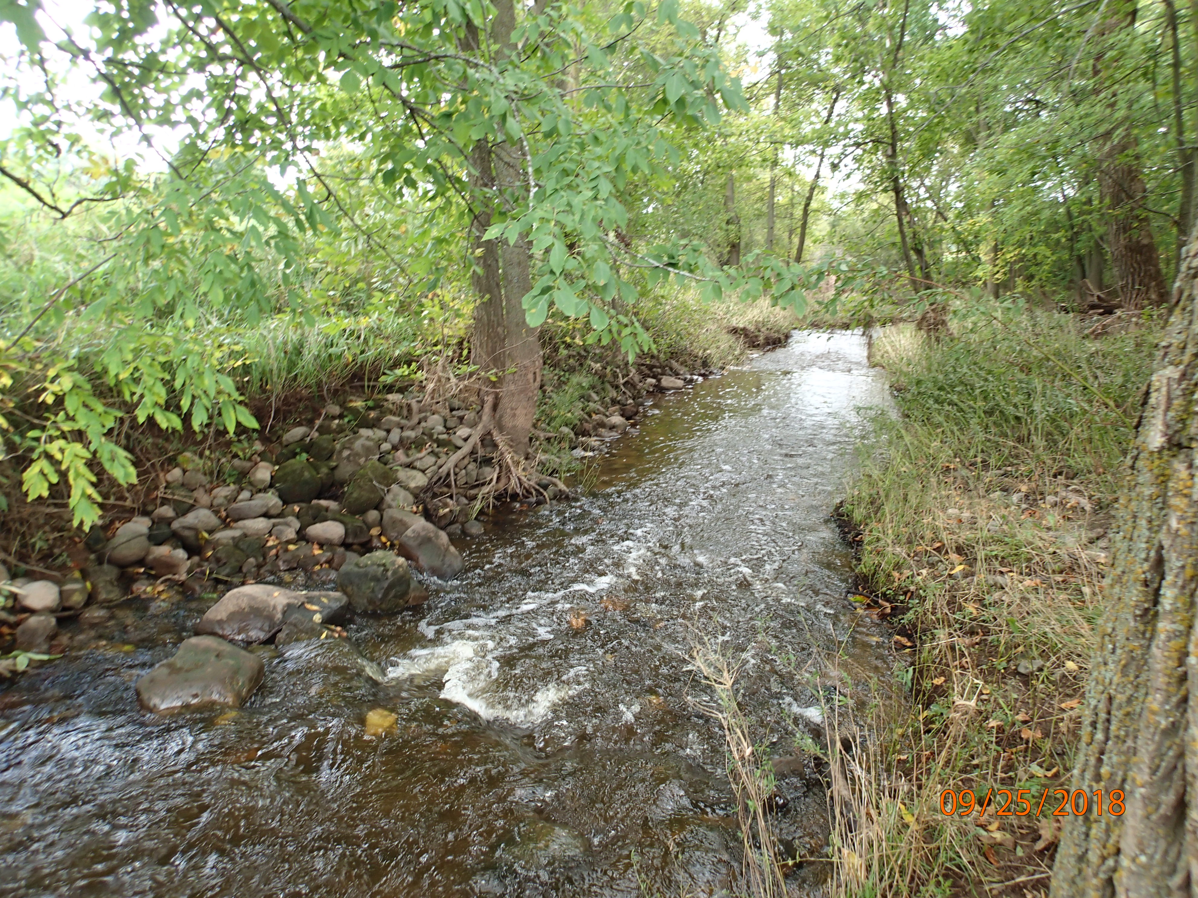 Local Water, West Twin River Watershed (TK01)