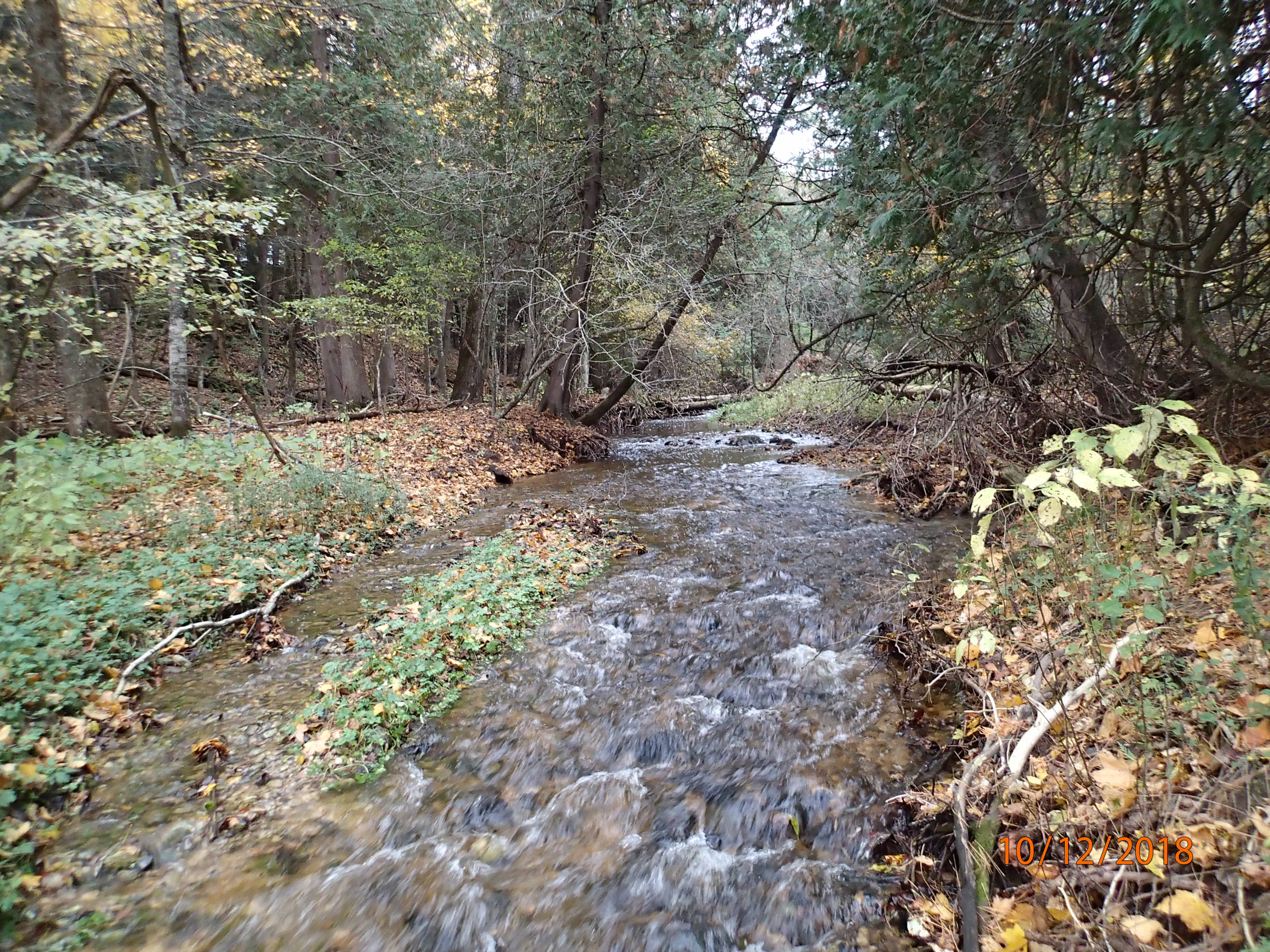 Kriwanek Creek, West Twin River Watershed (TK01)
