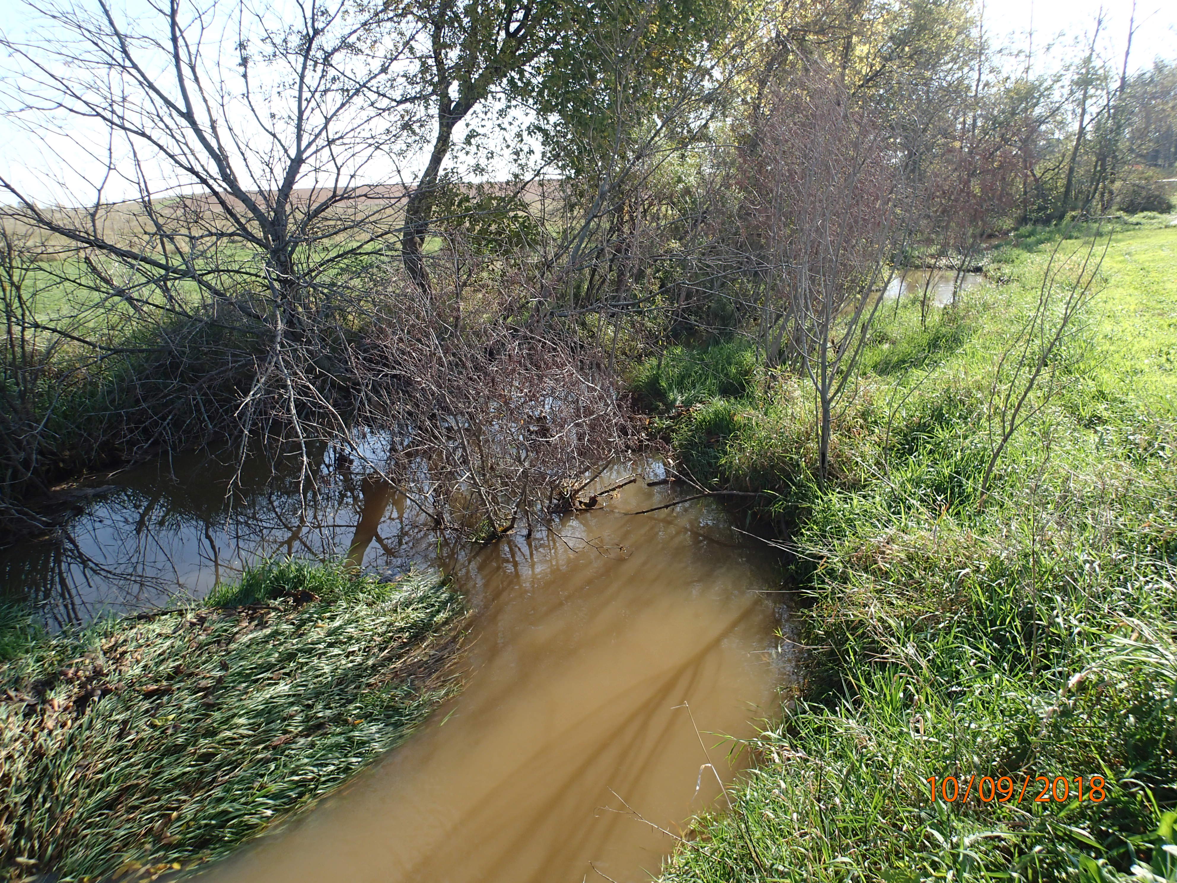 Osman Trib to Meeme River, Pigeon River Watershed (SH06)
