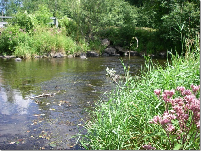 Big Rib River, Upper Rib River,Black Creek,Lower Rib River Watershed (CW23)