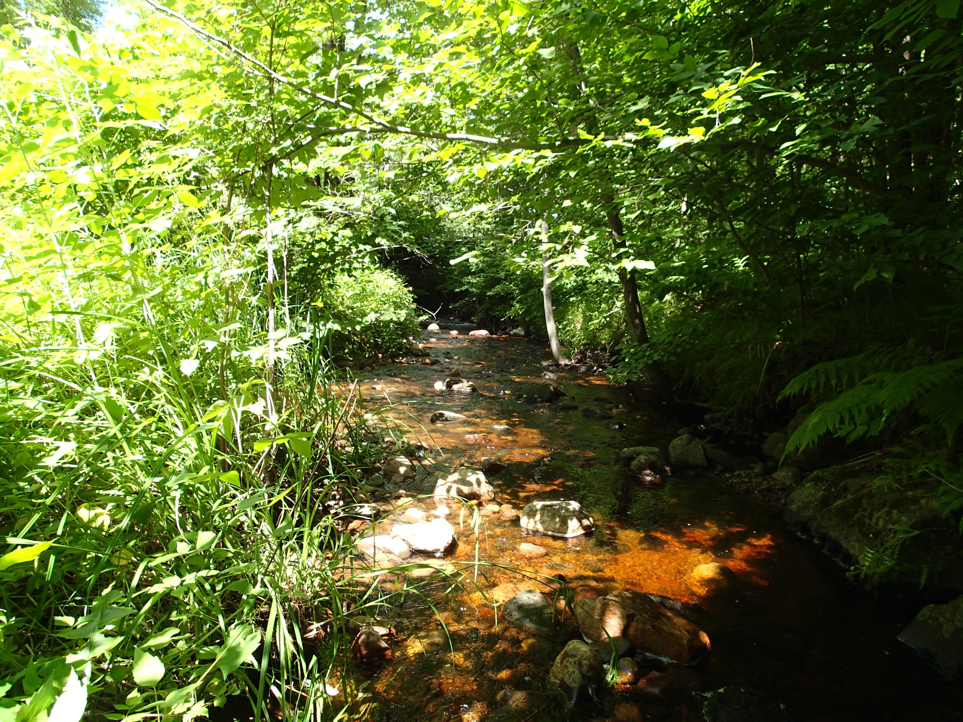 Big Weirgor Creek, Weirgor Creek and Brunet River Watershed (UC19)