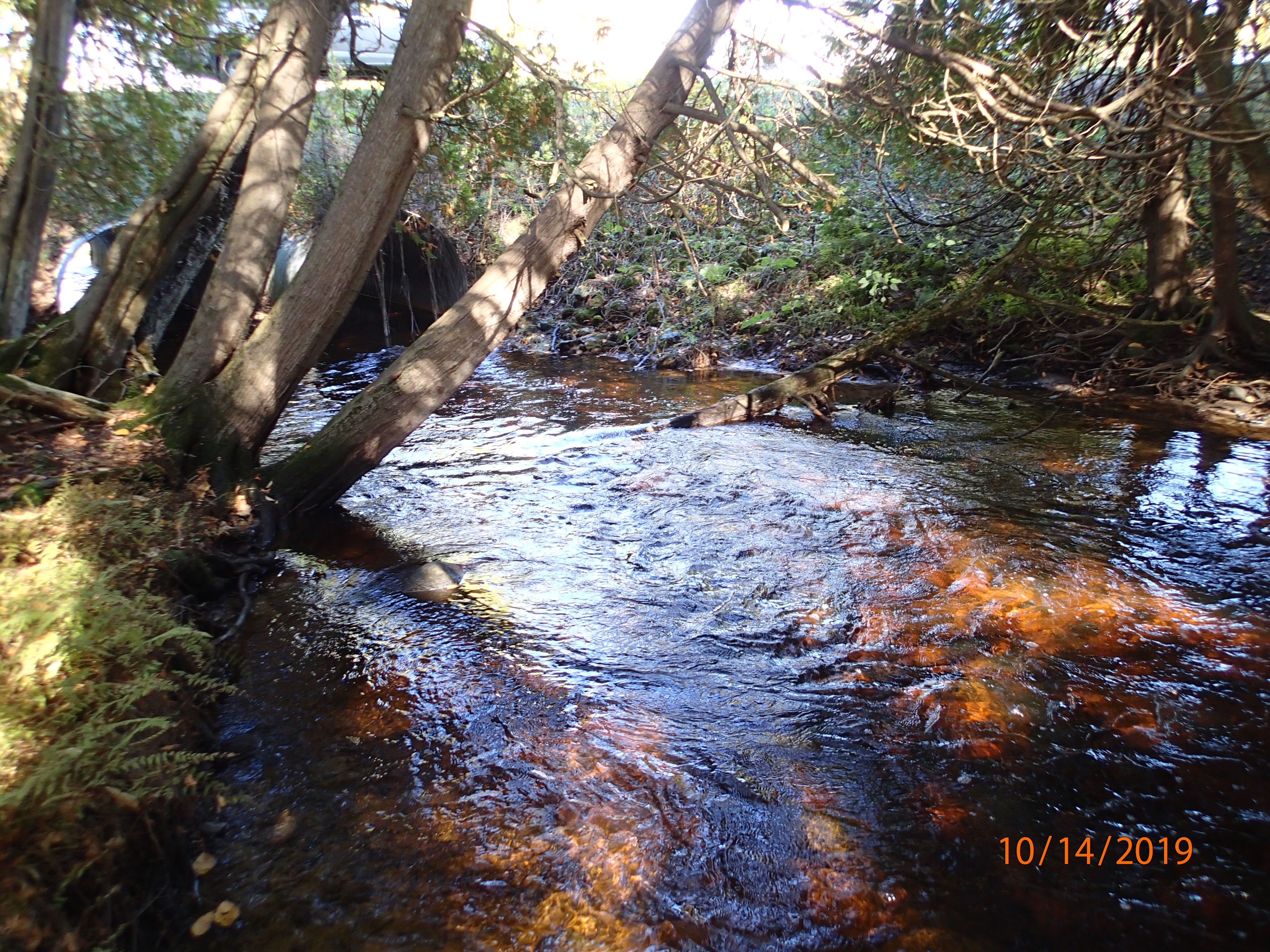 Silver Creek, 25n, 26e, 1 Nwnw, Stony Creek Watershed (TK05)