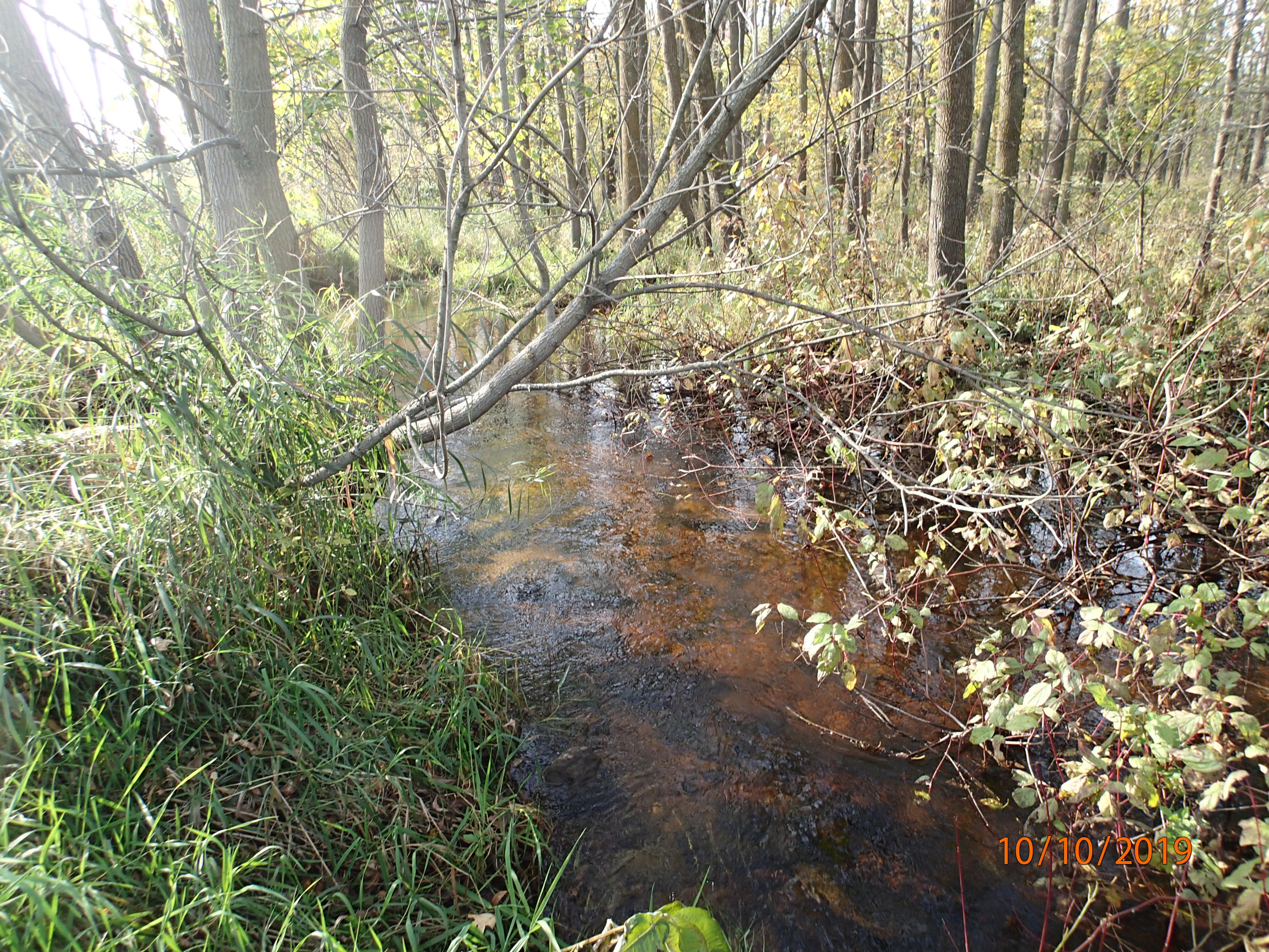 Tisch Mills Creek, East Twin River Watershed (TK02)