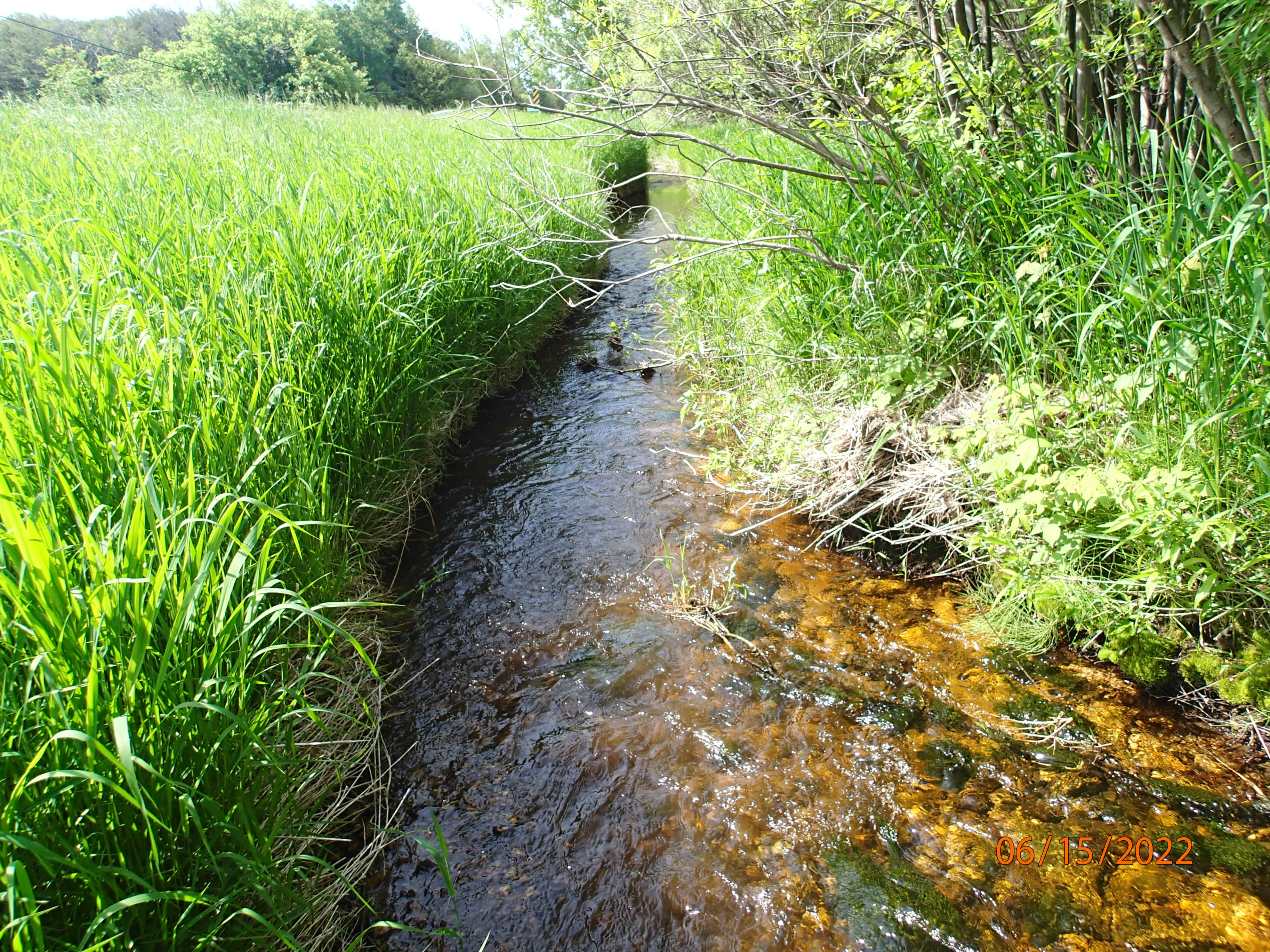 Maple Creek (Dolan/Giesel), Upper Door County Watershed (TK06)