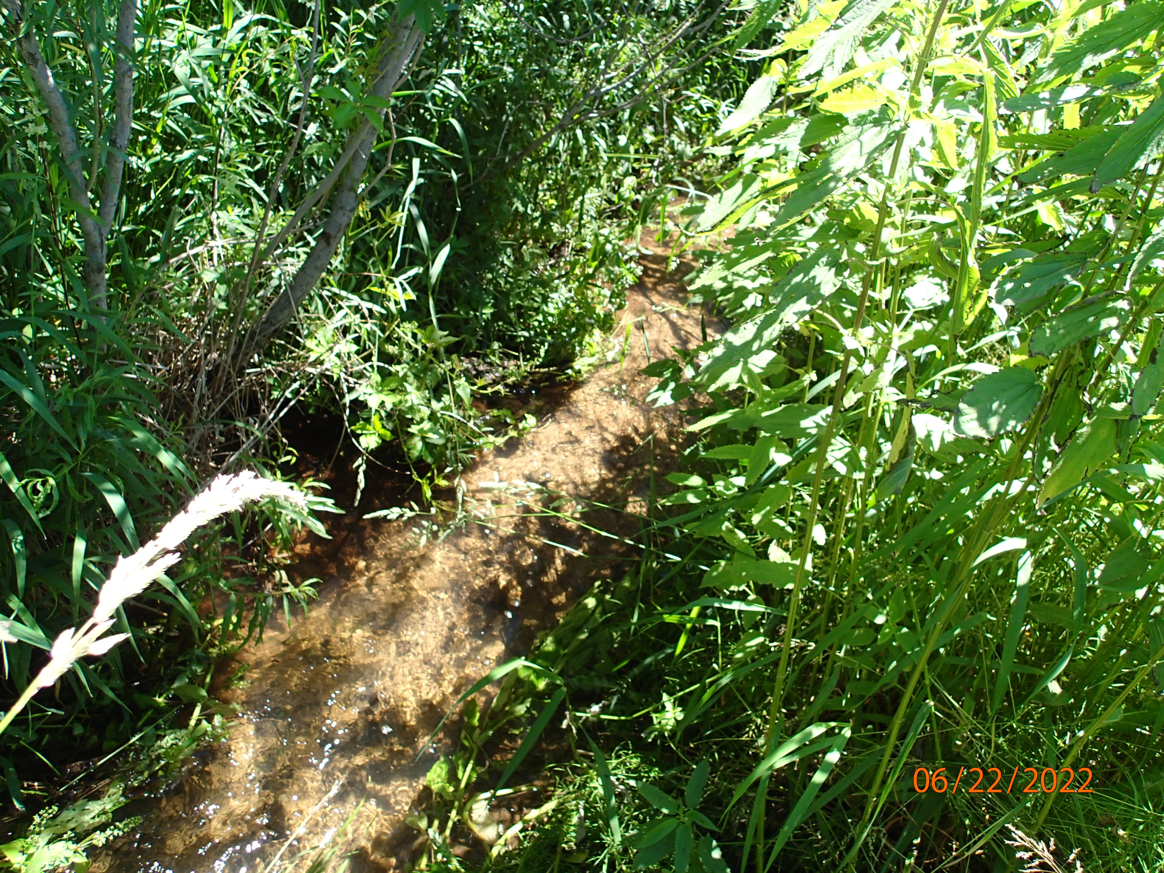 Unnamed Stream, East Twin River Watershed (TK02)