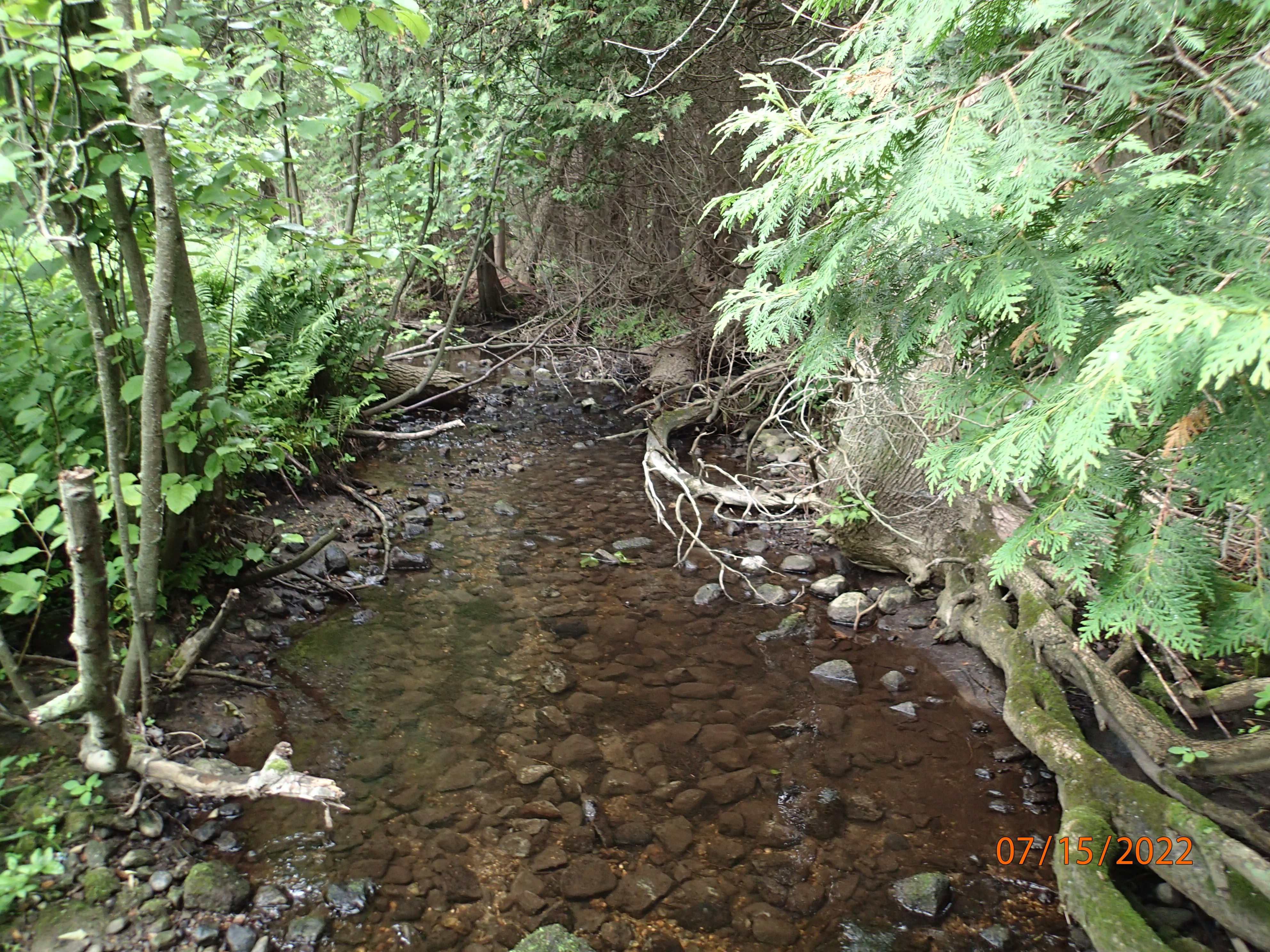Bear Creek, Stony Creek Watershed (TK05)