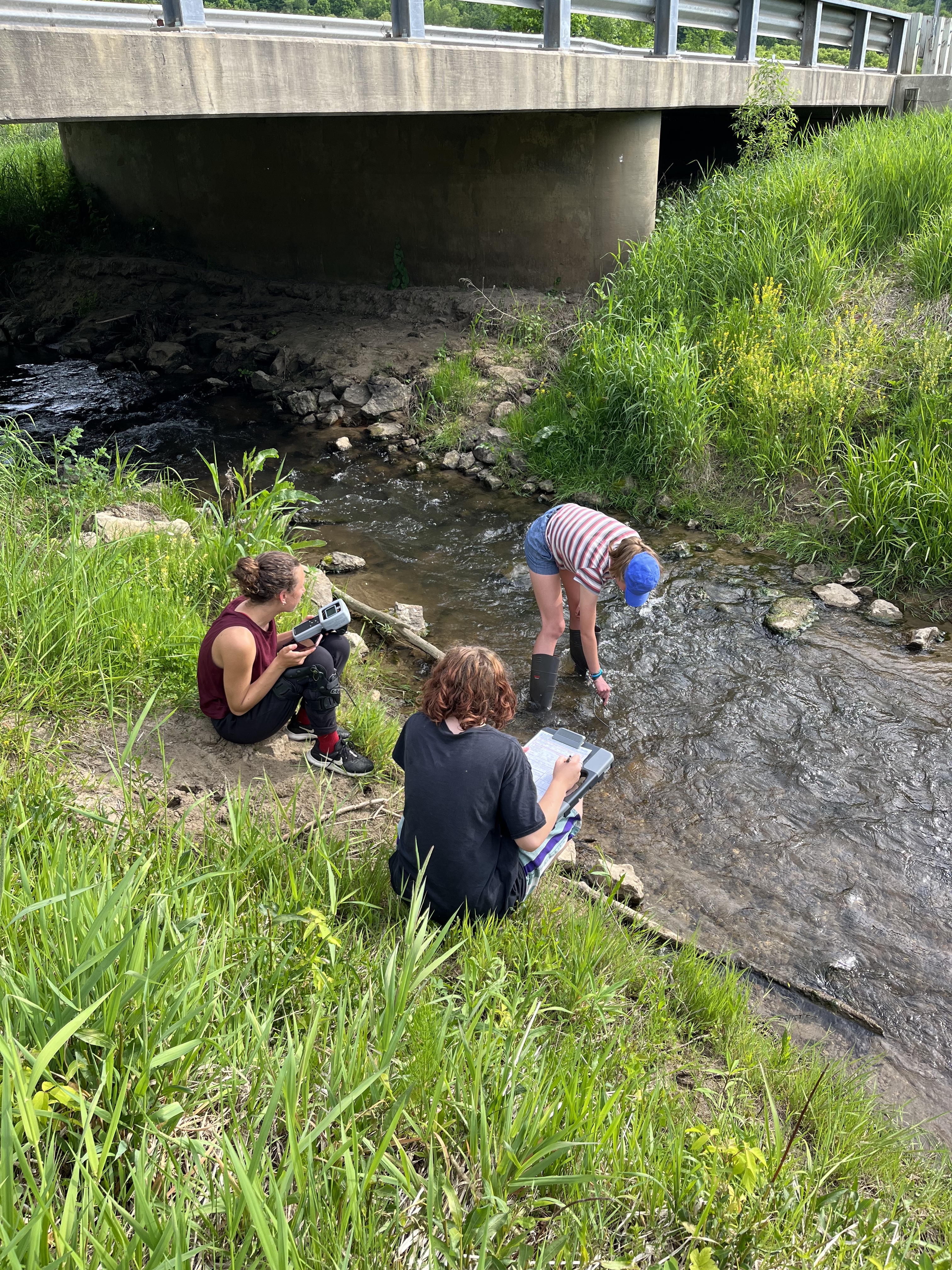 Bear Creek, Reads and Tainter Creeks Watershed (LW03)
