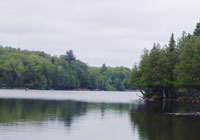 Fox Lake, Flambeau Flowage Watershed (UC14)