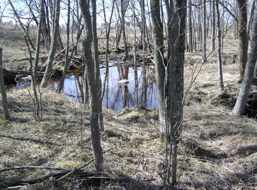 Becky Creek, Soft Maple and Hay Creeks Watershed (UC17)