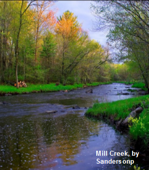 Mill Creek, Mill Creek Watershed (CW11)