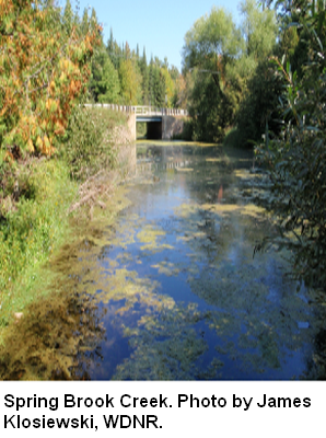 Spring Brook Creek, Upper Eau Claire River,Springbrook Creek Watershed (CW21)