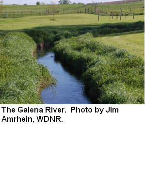 Gelena River, Galena River Watershed (GP01)
