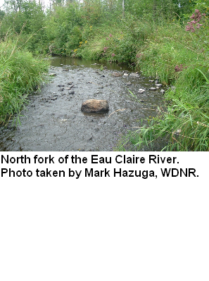 North Fork Eau Claire, North Fork Eau Claire River Watershed (LC17)