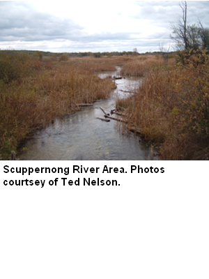 Scuppernong River, Scuppernong River Watershed (LR15)