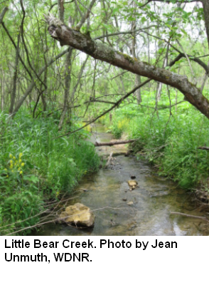 Little Bear Creek, Bear Creek Watershed (LW14)