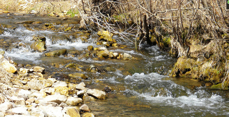 Mormon Coulee Creek, Coon Creek Watershed (BL03)