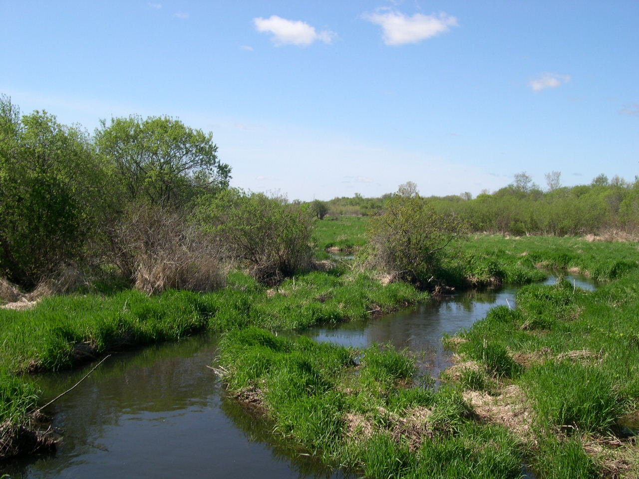 Jericho Creek, Mukwonago River Watershed (FX06)