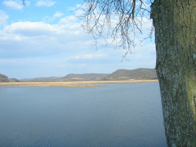 Unnamed Lake , Lower Buffalo River Watershed (BT07)