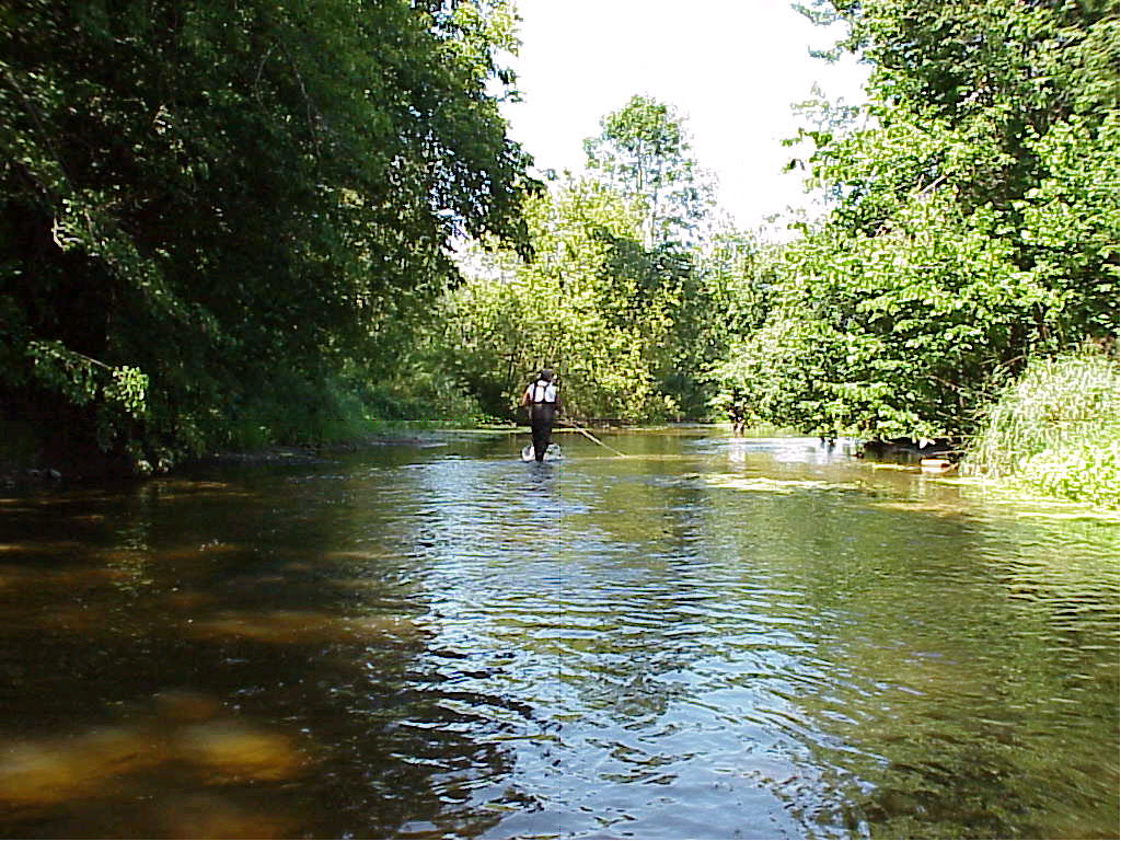 Krok Creek, East Twin River Watershed (TK02)