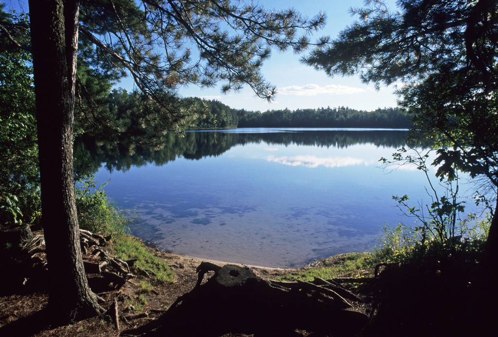 Firefly Lake (Weber), Manitowish River Watershed (UC16)
