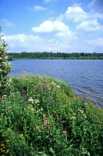 Connor Lake, Lower North Fork Flambeau River Watershed (UC11)