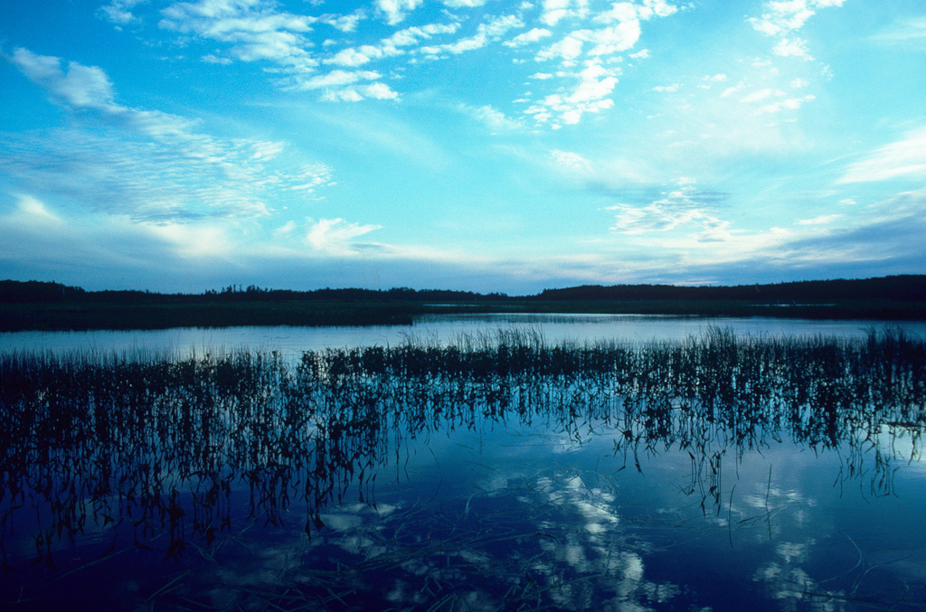 Lac Sault Dore (Soo Lake), Elk River Watershed (UC09)