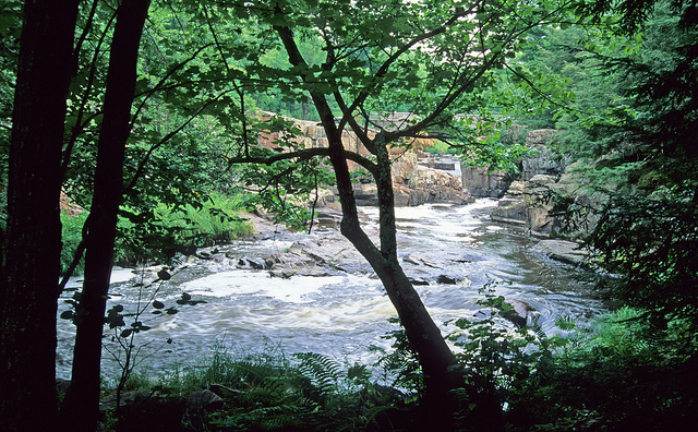 Eau Claire River, Lower Eau Claire River,Black and Hay Creeks Watershed (LC14)