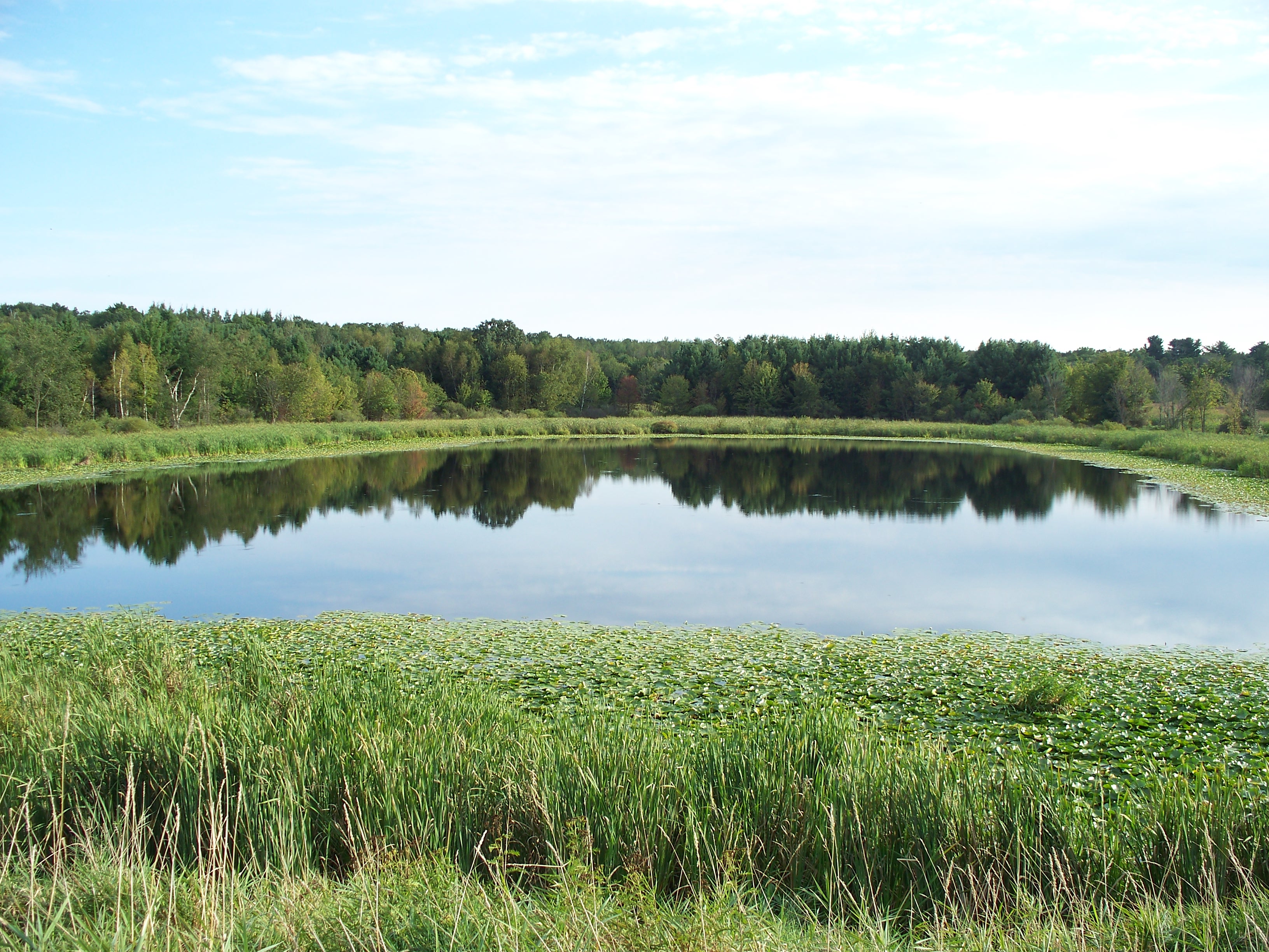 Mud Lake, Brill and Red Cedar Rivers Watershed (LC10)