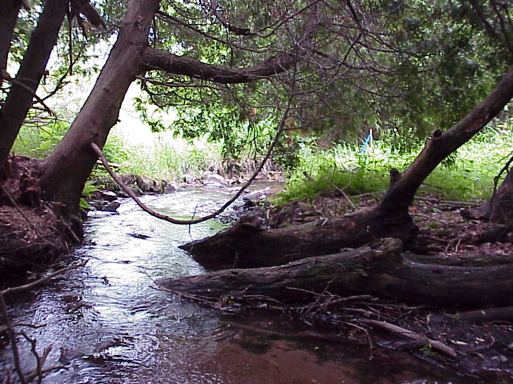 Little Scarboro Creek, Kewaunee River Watershed (TK03)