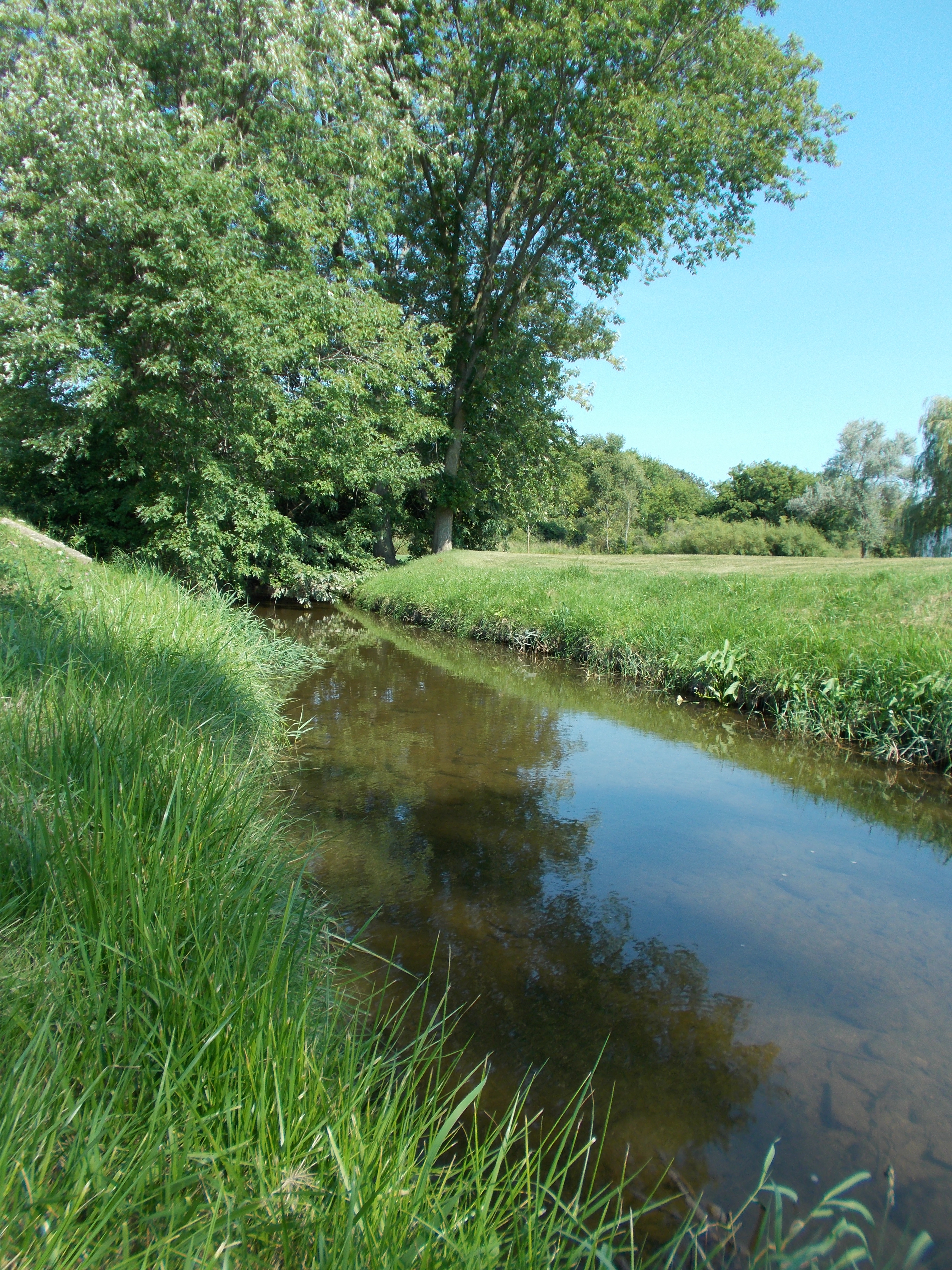 Kewaskum Creek, East and West Branches Milwaukee River Watershed (MI06)