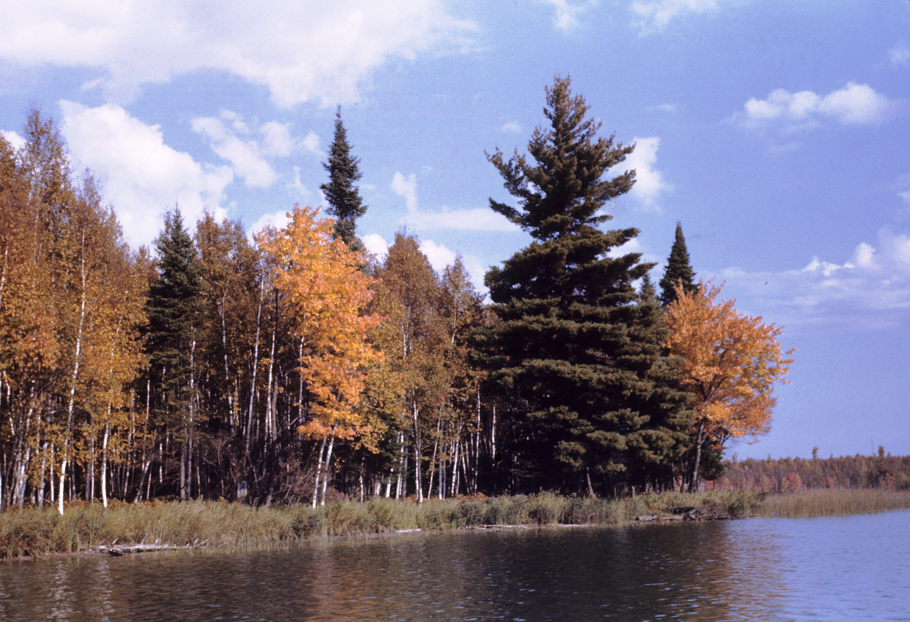 Little Crooked Lake, Manitowish River Watershed (UC16)