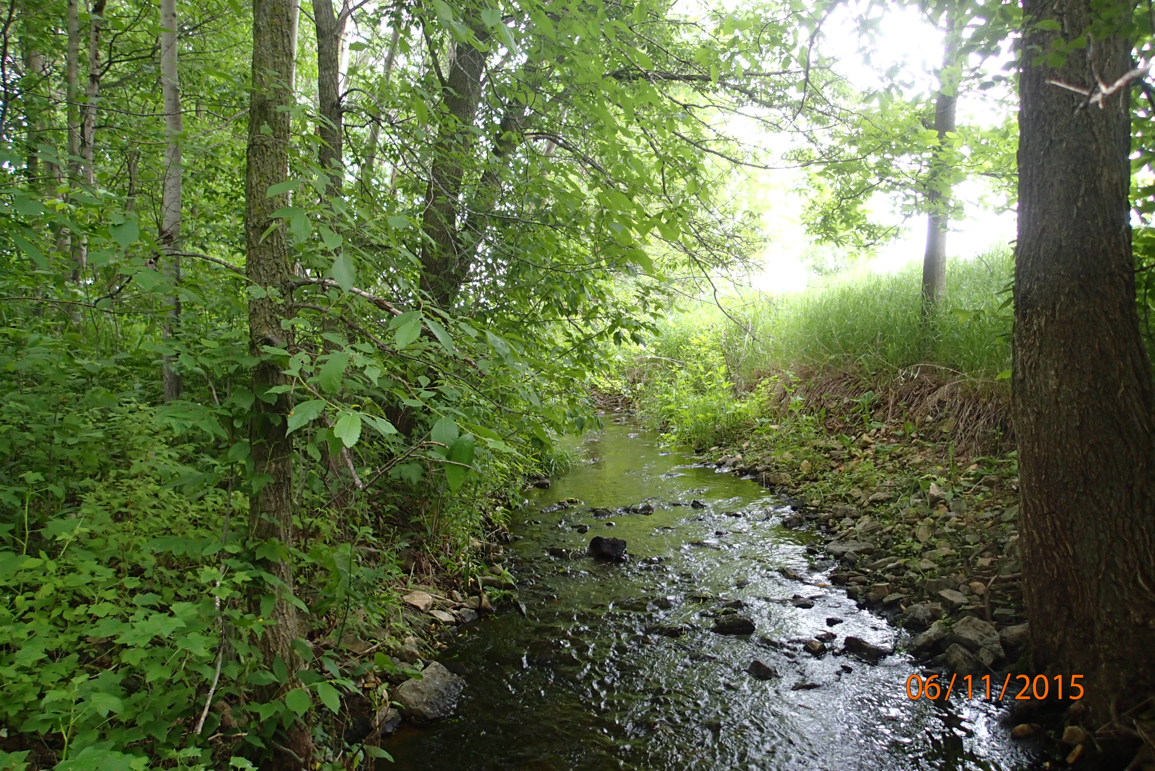 Trout Creek, Duck Creek Watershed (LF05)