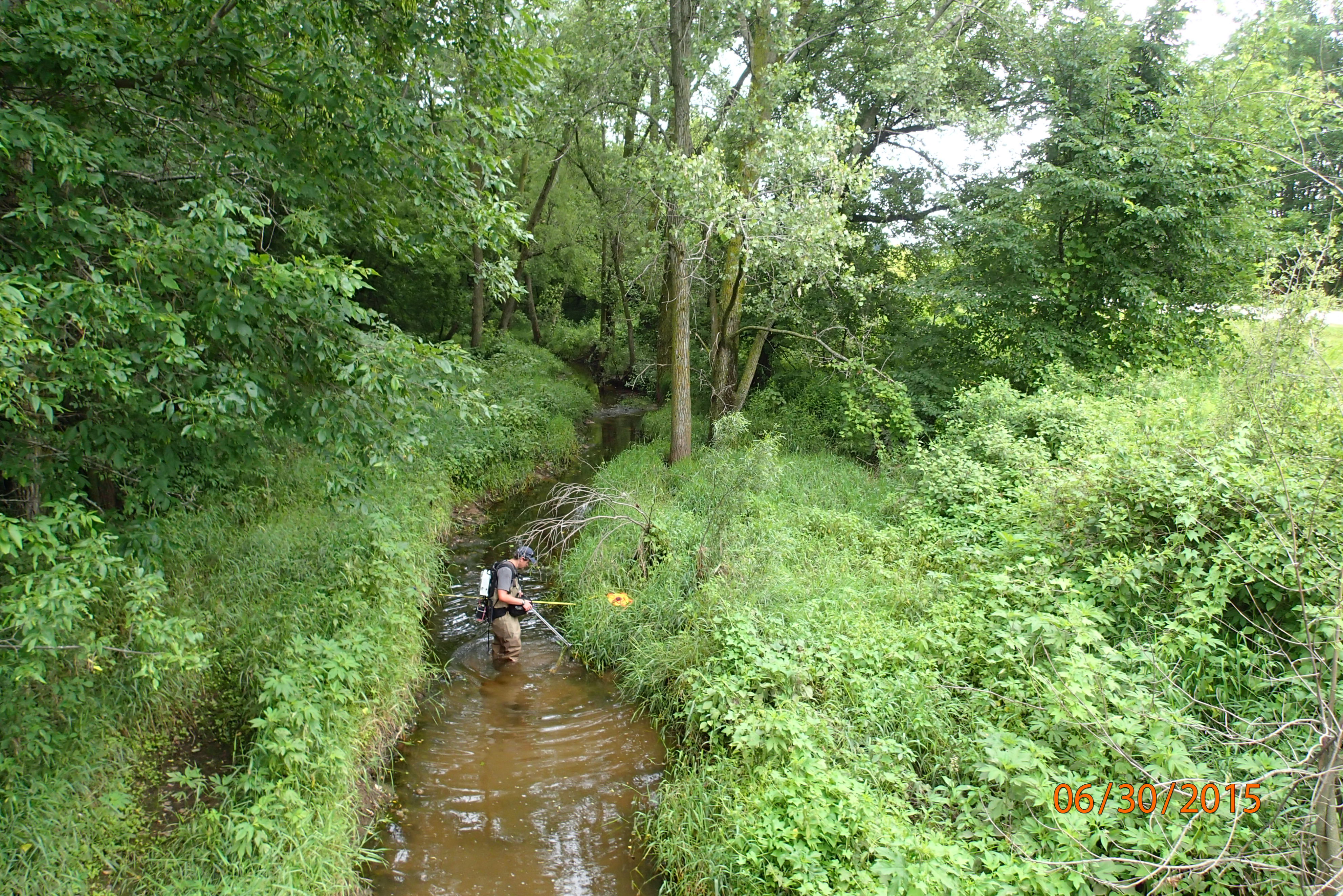 Unnamed Trib to Duck Creek, Duck Creek Watershed (LF05)